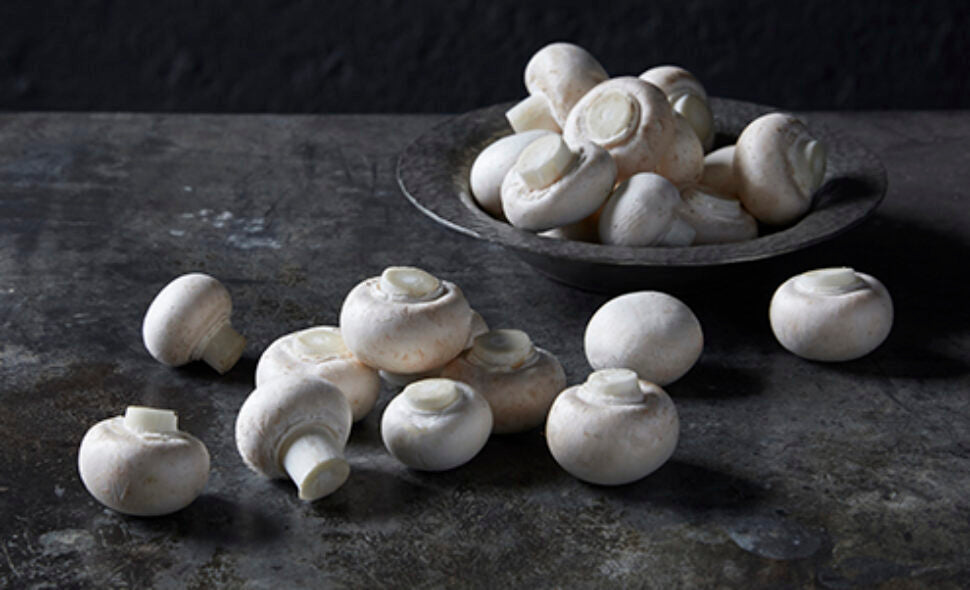 Embracing Simplicity: The White Button Mushroom